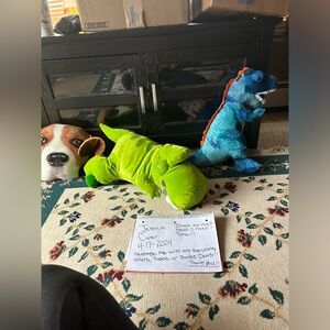 Squishmallows/ stuffed animals